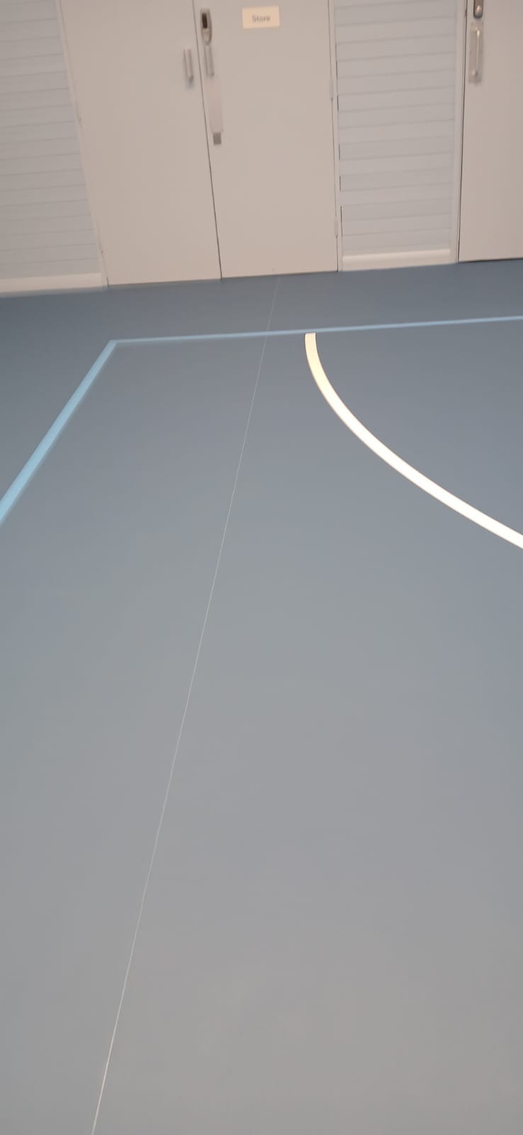 Basketball line's painted - 5