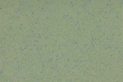 Treefrog flooring swatch