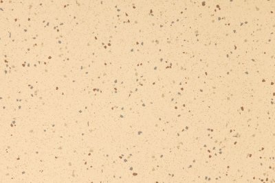 Statue flooring swatch