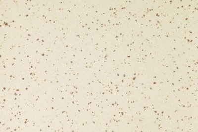 Ice Rink flooring swatch