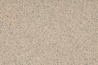 Altro Stronghold 30 — Oyster