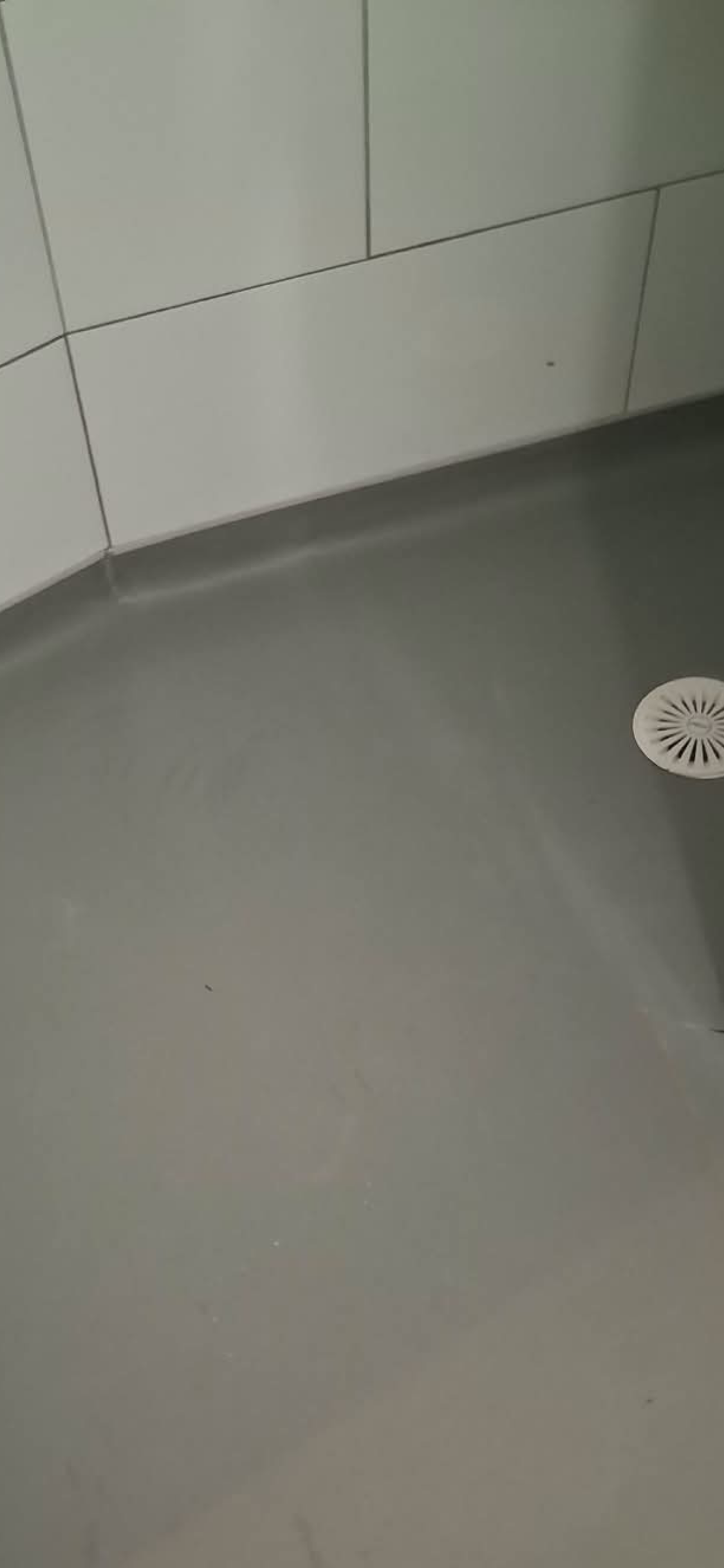 Grey wet-room flooring with a coved edge against tiled walls